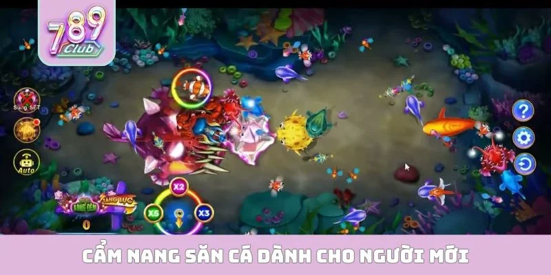 Cẩm nang săn cá dành cho người mới
