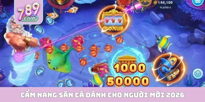 Cẩm nang săn cá dành cho người mới 2026