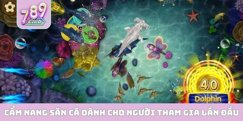 Cẩm nang săn cá dành cho người mới tham gia lần đầu
