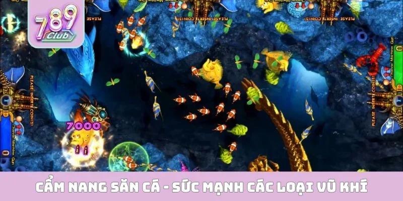 Cẩm nang săn cá dành cho người mới - Sức mạnh các loại vũ khí