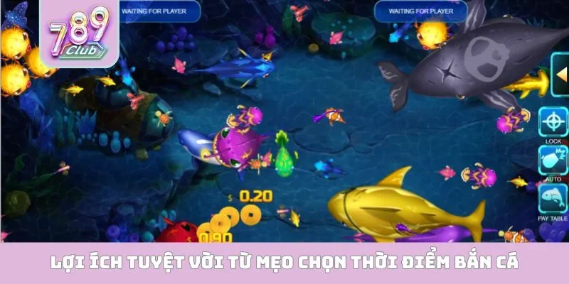 Lợi ích tuyệt vời từ mẹo chọn thời điểm bắn cá