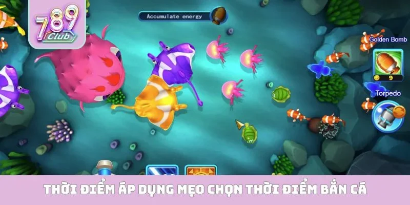 Thời điểm áp dụng mẹo chọn thời điểm bắn cá